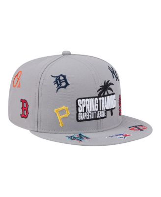 Men's Gray 2026 Spring Training Grapefruit League Scattered 9FIFTY Adjustable Hat