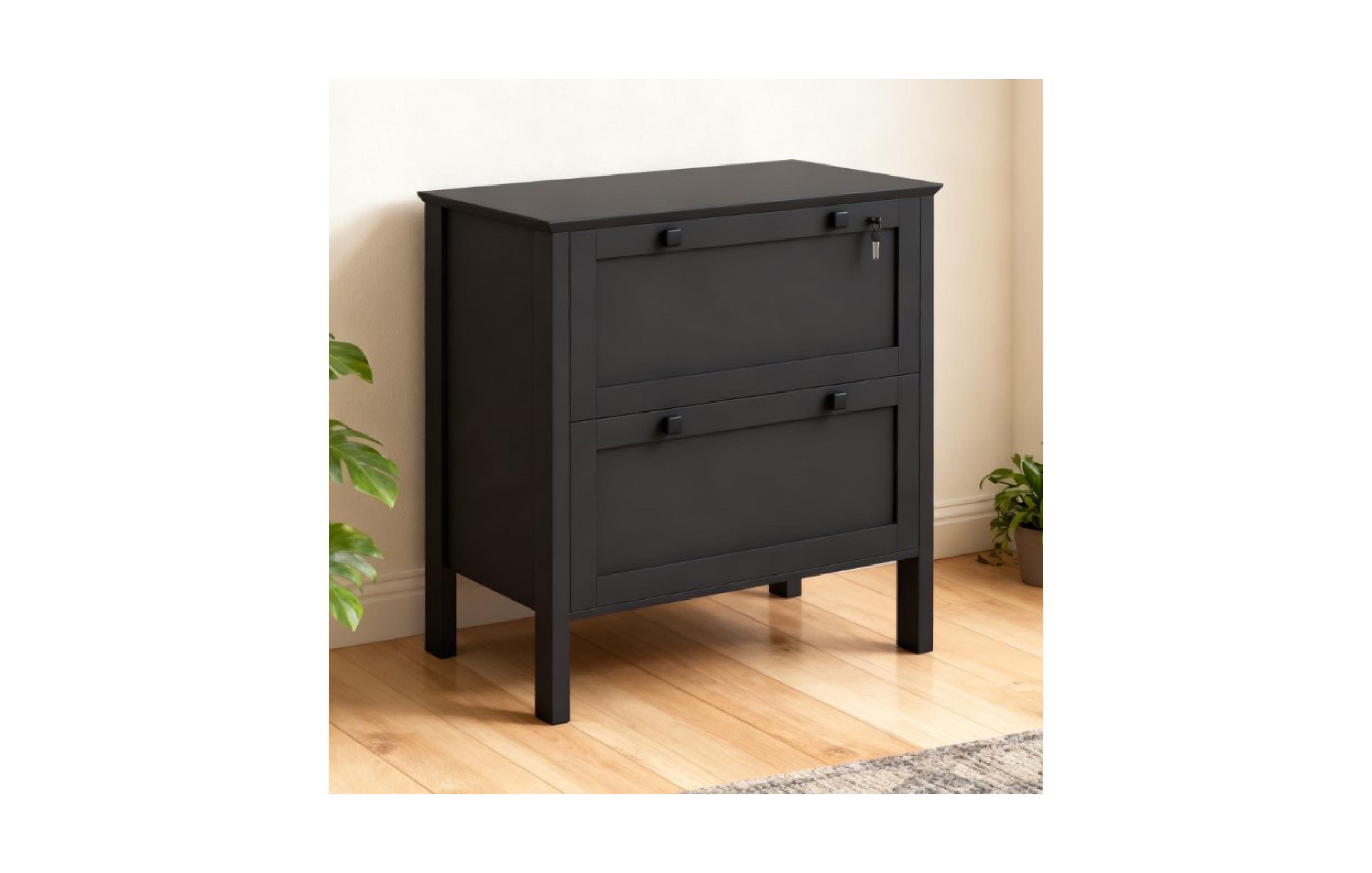 Rainsken File Cabinet, Lateral Locking Filing Cabinet with 2-Drawer and Adjustable Hanging Bar for Letter/A4/Legal, Home Office Storage Cabinet
