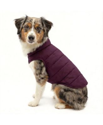 Loft Dog Jacket: Insulated, Reversible, Water-Resistant, Reflective, Adventure Ready