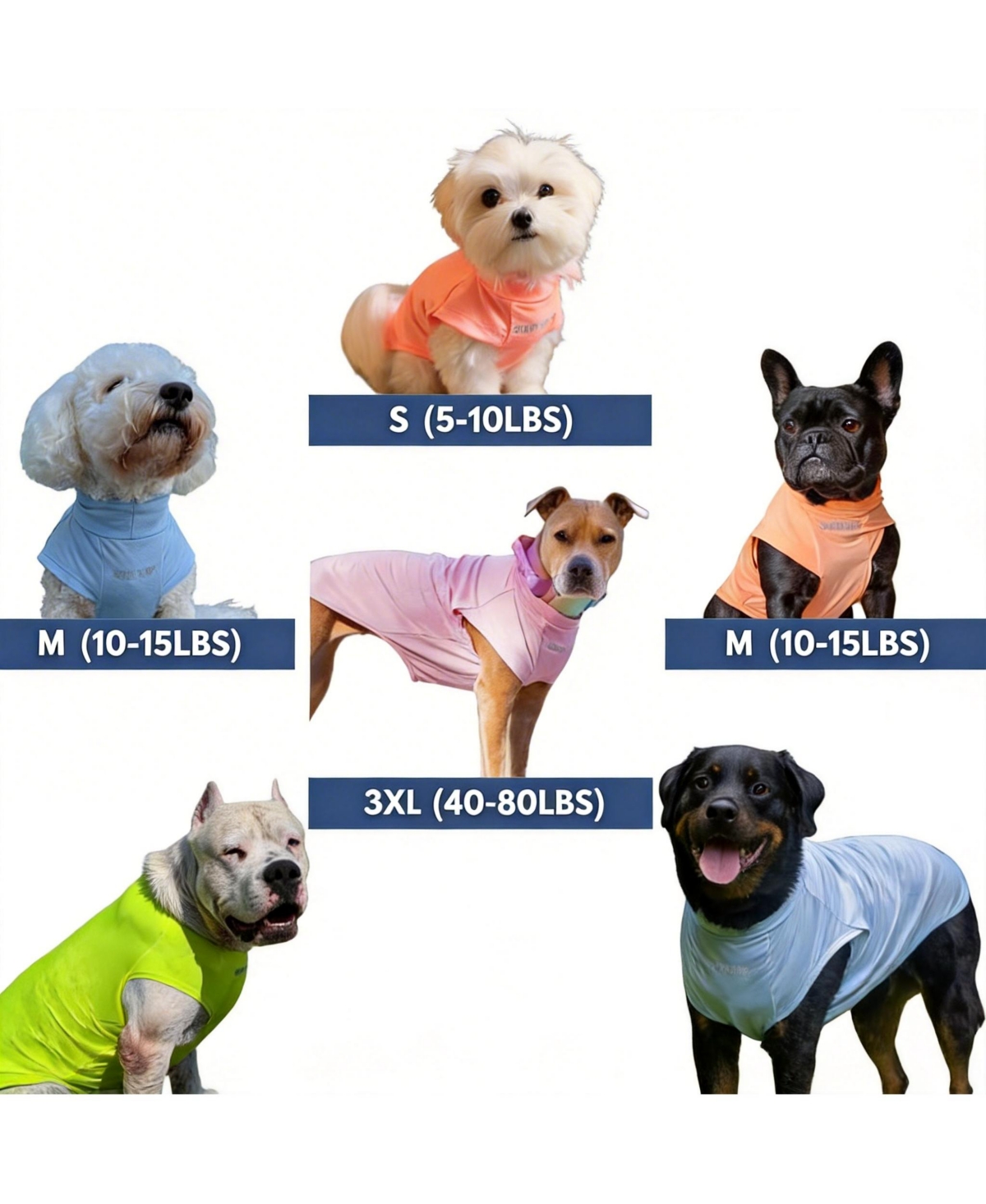 Aronkl Uv Protection Spf 30 Breathable Quick Dry Dog T Shirt