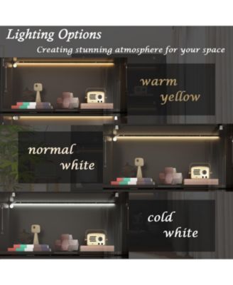 Modern Wood 4-Shelf Bookcase with Doors and 3-Color LED Lights