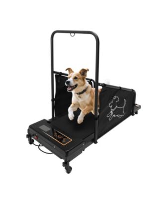 Dog Treadmill for Medium Dogs – Pet Pacer for Walk & Run, Keep Your Dog Fit & Healthy