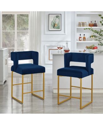  Modern Fashion Counter Height Bar Stools, Set of 2