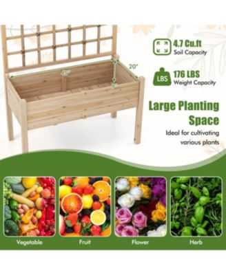 Elevated Garden Planter with Lattice and Drainage