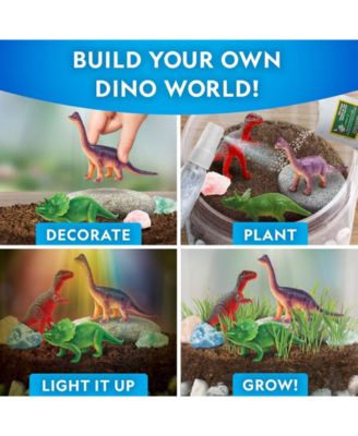 Light-Up Dinosaur Terrarium Kit