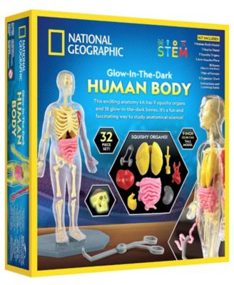 Glow-In-The-Dark Human Body