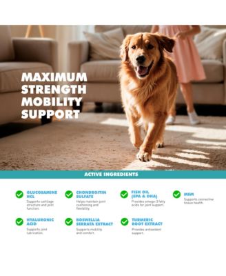 Joint Power MEG Maximum Joint Support Liquid for Dogs & Cats (8.45 fl oz/250 ml)