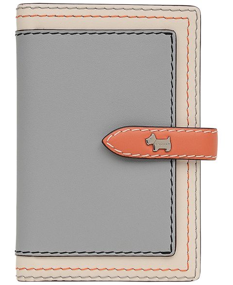 Radley London Willis Street Color-Block Mini Passport Holder Wallet