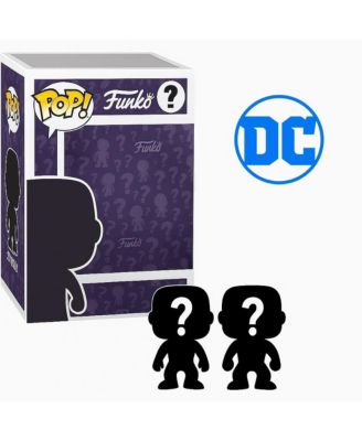 Set of 2 Surprise Mystery DC Comics Pop! Randomly Selected