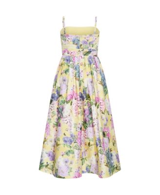 Women's Rosalee Sleeveless Print Maxi Dress