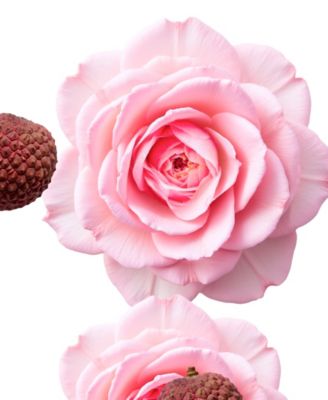 Delina Hair Perfume, 2.5 oz.