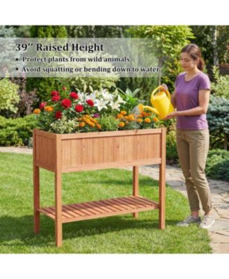 Raised Wooden Garden Bed with Storage & 220 lb Capacity