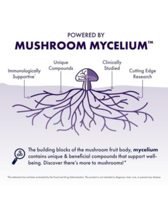 Mushrooms, Lion's Mane Gummies, Blueberry, 90 count