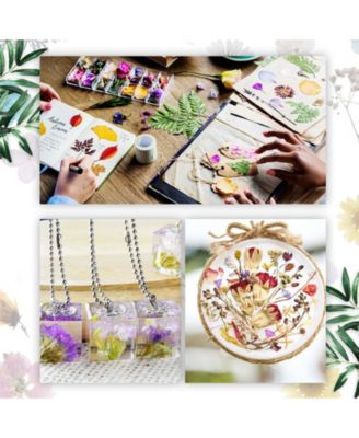 200 Dried Pressed Flowers Leaves Real Mixed Tweezers DIY Candle Soap Vase Card Scrapbook Art Craft Decor