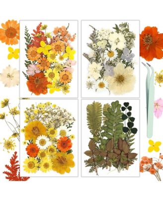 100pcs Dried Flowers Pressed Leaves Craft Kit DIY Soap Candle Scrapbook Card Making Supplies