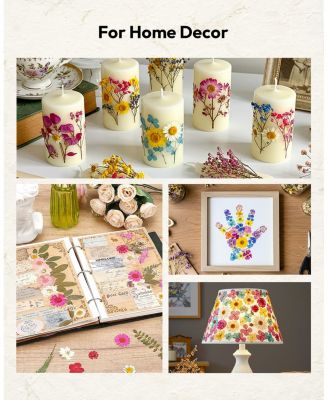 100pcs Dried Flowers Pressed Leaves Craft Kit DIY Soap Candle Scrapbook Card Making Supplies