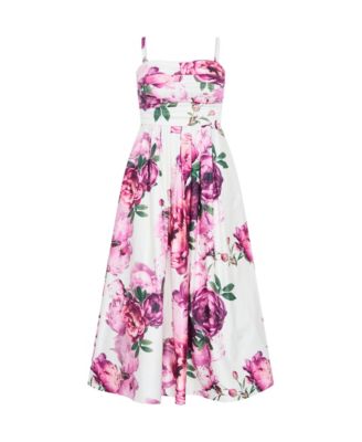 Women's Rosalee Sleeveless Print Maxi Dress