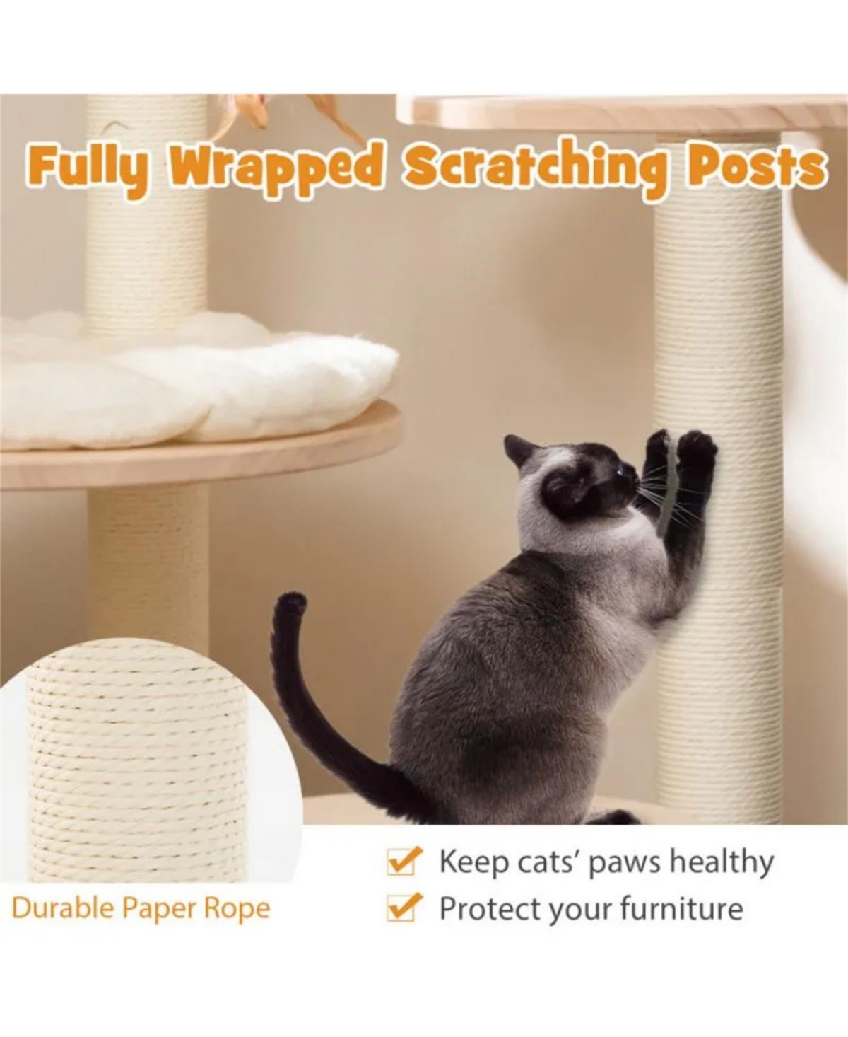 Zeus & Ruta 4 in 1 Wooden Cat Activity Center with Cozy Capsule Nest, Climbers and Scratcher for Indoor Kittens