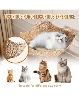 Cat Tree with Litter Box Enclosure, Hidden Washroom Litter Box Tree with Sisal Scratching Post and Soft Plush Perch, Wooden Cat Furniture