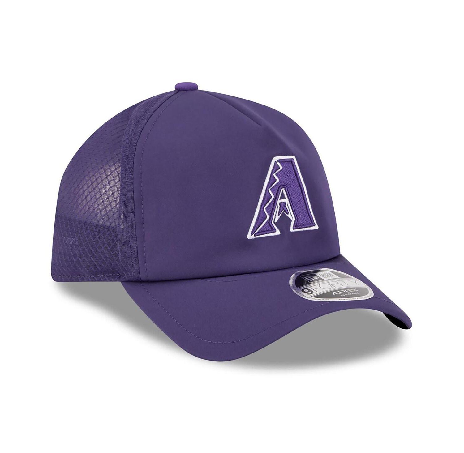Men's Purple Arizona Diamondbacks 2026 Batting Practice Alternate Apex 9FORTY Adjustable Hat