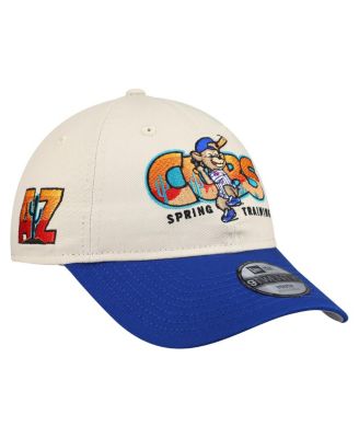 Big Boys and Girls Stone/Royal Chicago Cubs 2026 Spring Training Fan Pack Batter 9TWENTY Adjustable Hat