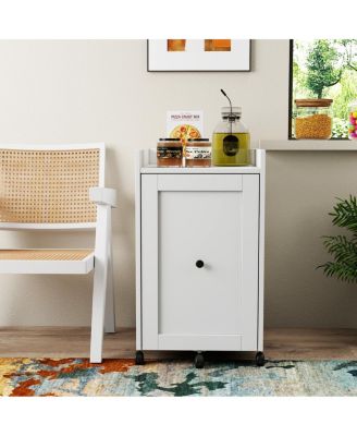 Sliding Pantry Snack Organizer with Wheels