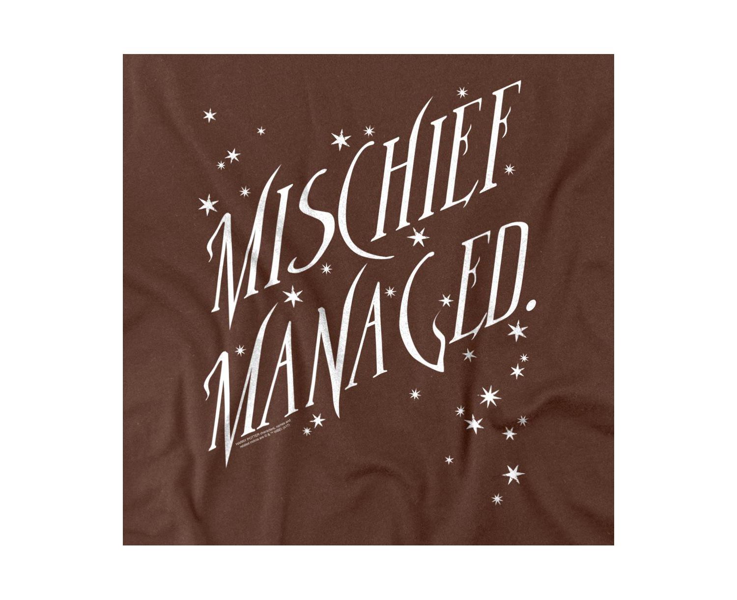 Men's Mischief Managed 4 T-Shirt