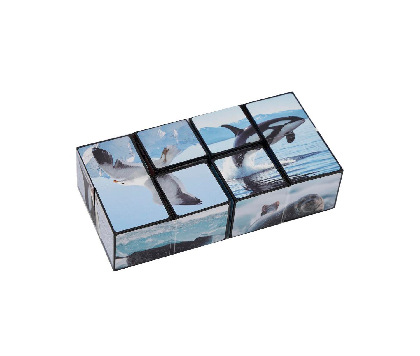 Детская игрушка Bruce & Shark 2-in-1 North and South Poles Fidget Cube - Folds into Star, Cube & Rectangle — фото 8