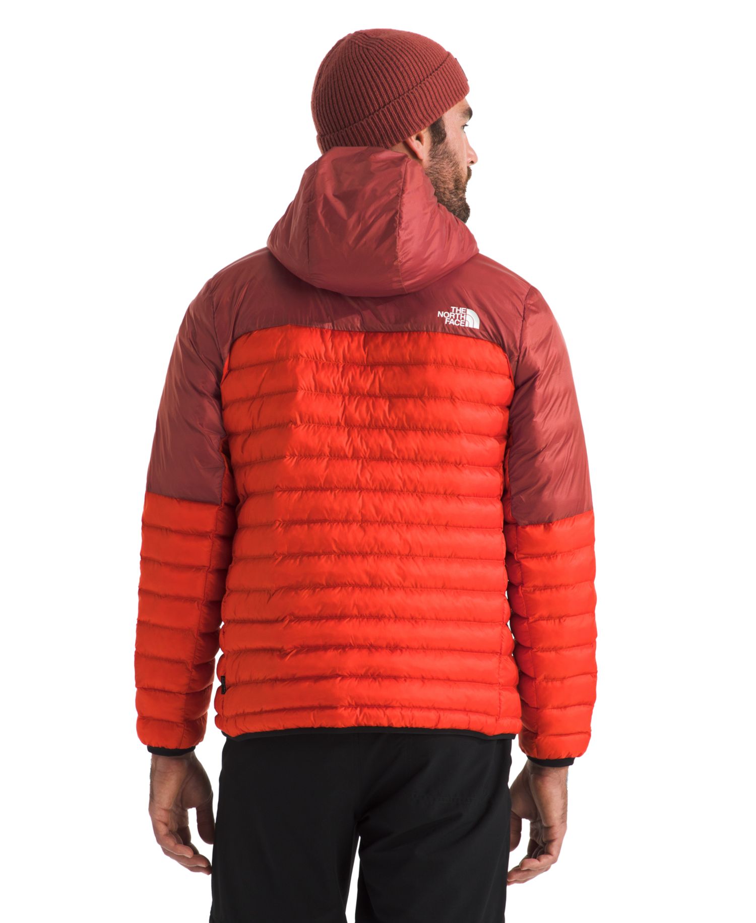 Men's Terra Peak Hoodie