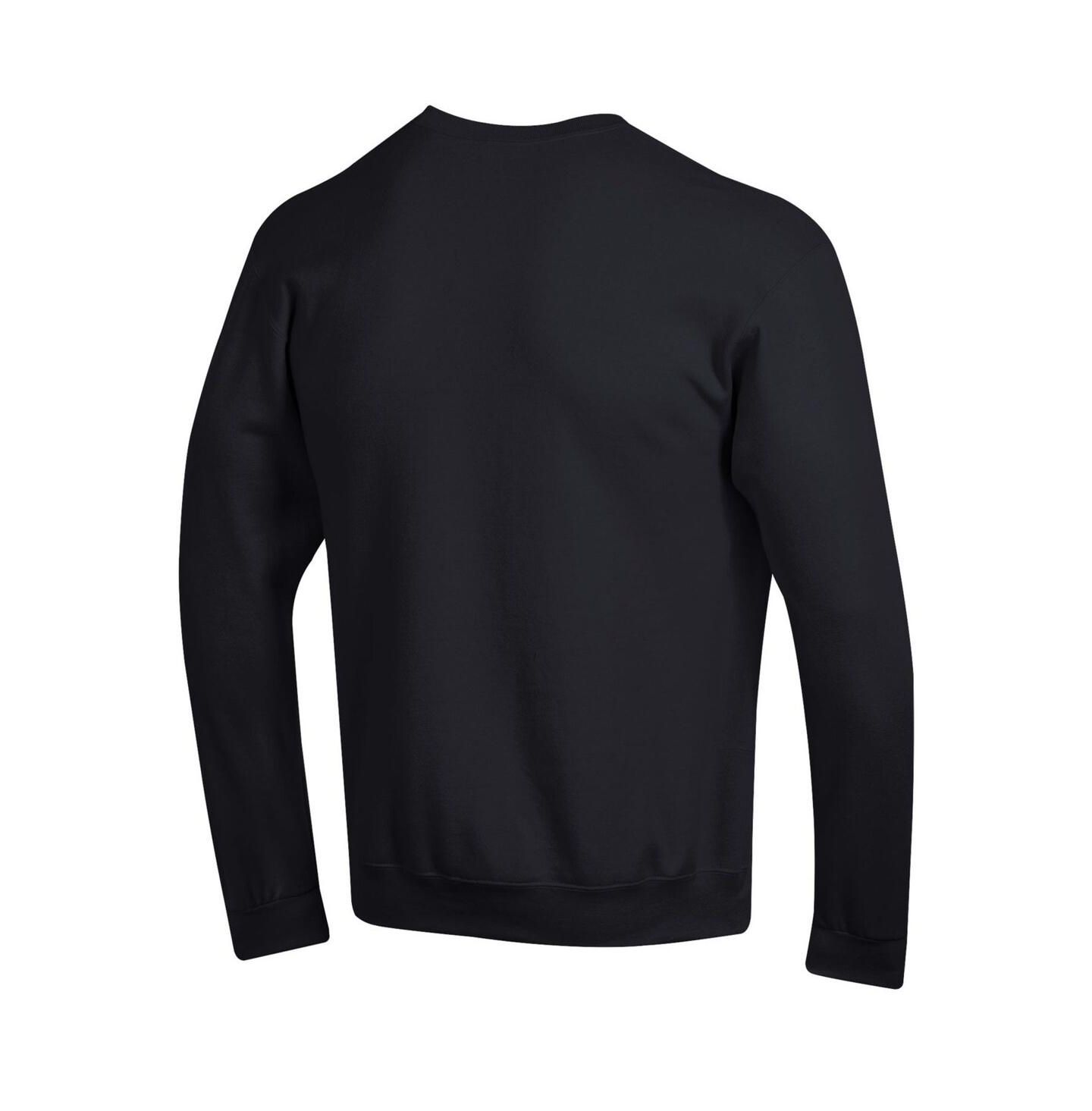 Мужская толстовка Champion Garnet South Carolina Gamecocks Arch Over Logo Pullover, цвет: Чёрный — фото 3
