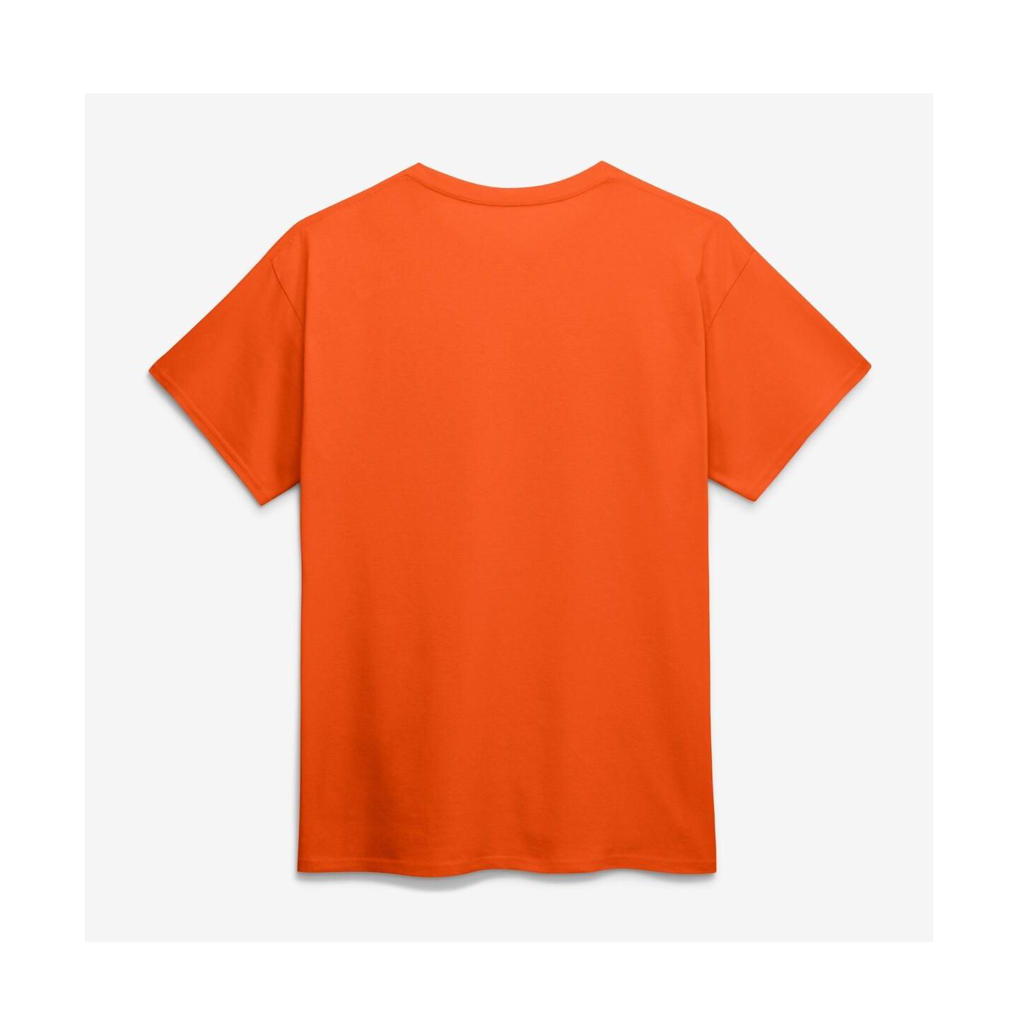 Мужская футболка Logo Athletic Orange New York Mets Wordmark — фото 2