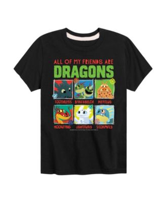 How to Train Your Dragon Toddler Boys' 2T-5 Short-Sleeve T-Shirt - Black