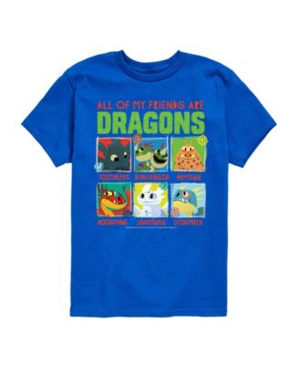 How to Train Your Dragon Toddler Boys' 2T-5 Short-Sleeve T-Shirt - Royal Blue