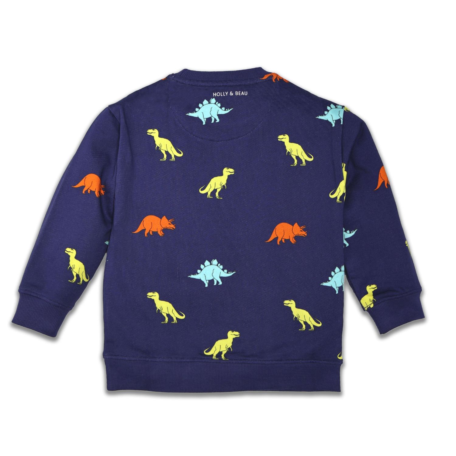 Little Boys Dinosaur Cotton Crew Neck Sweatshirt