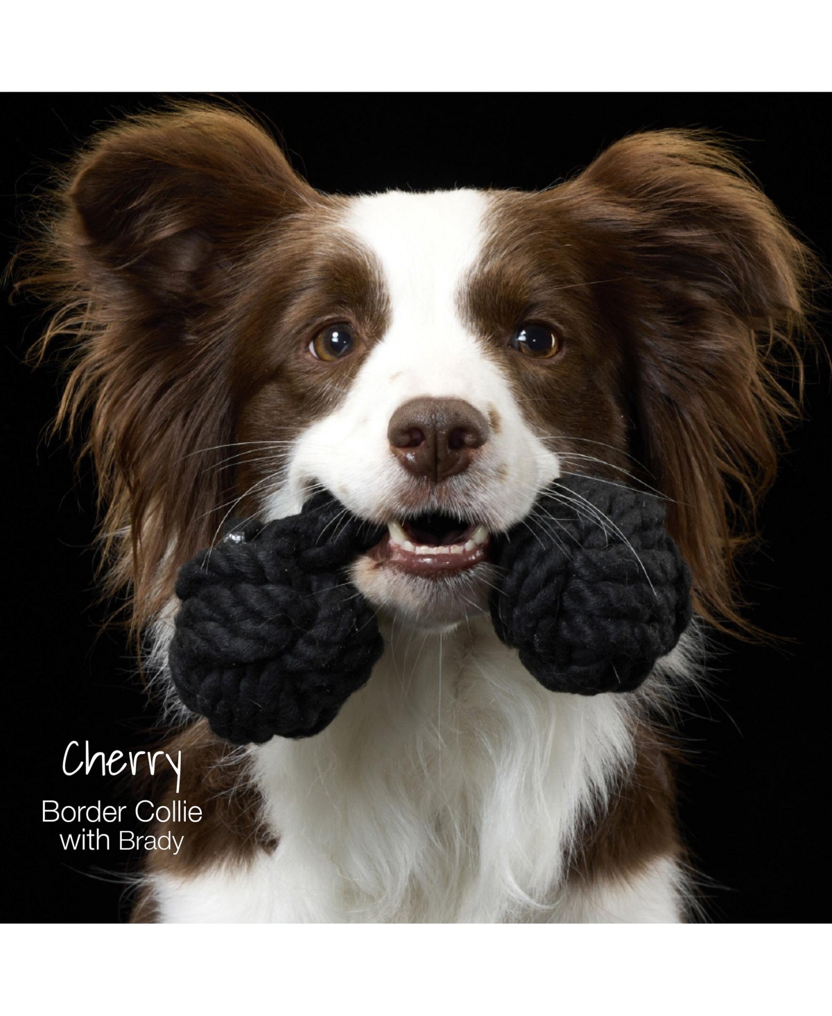 Pet Passion Brady The Rope Tug Toy