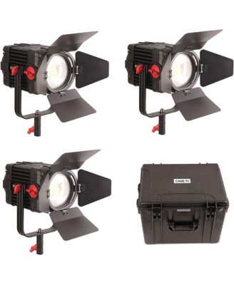 Boltzen 150W Fresnel Focusable LED Daylight 3-Light Kit
