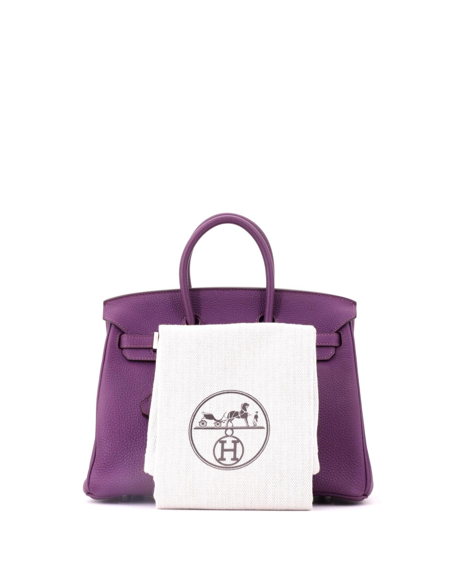 Birkin 25 Handbag Purple Togo with Palladium Hardware