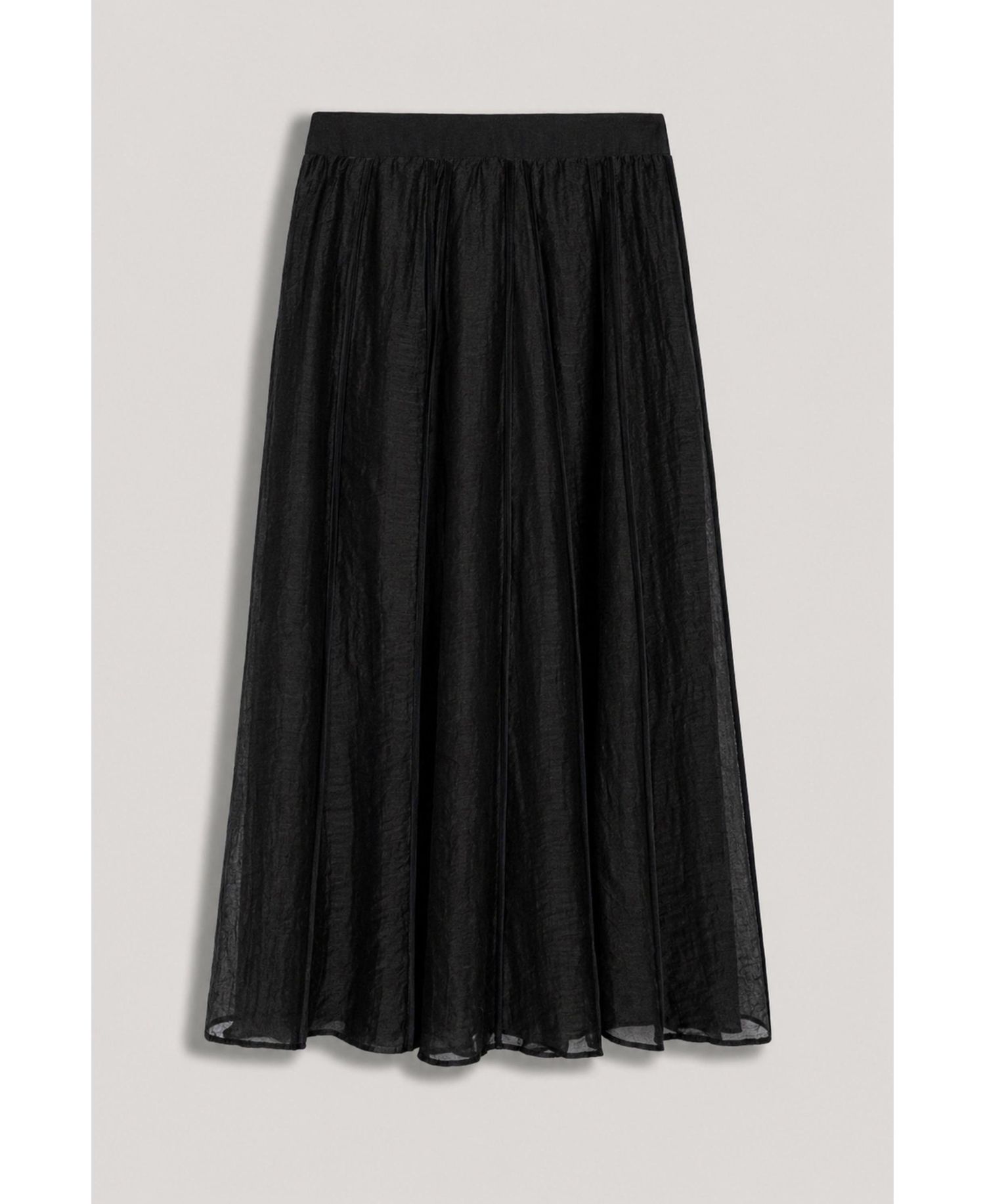 Women's Sheer Pleated Midi Skirt