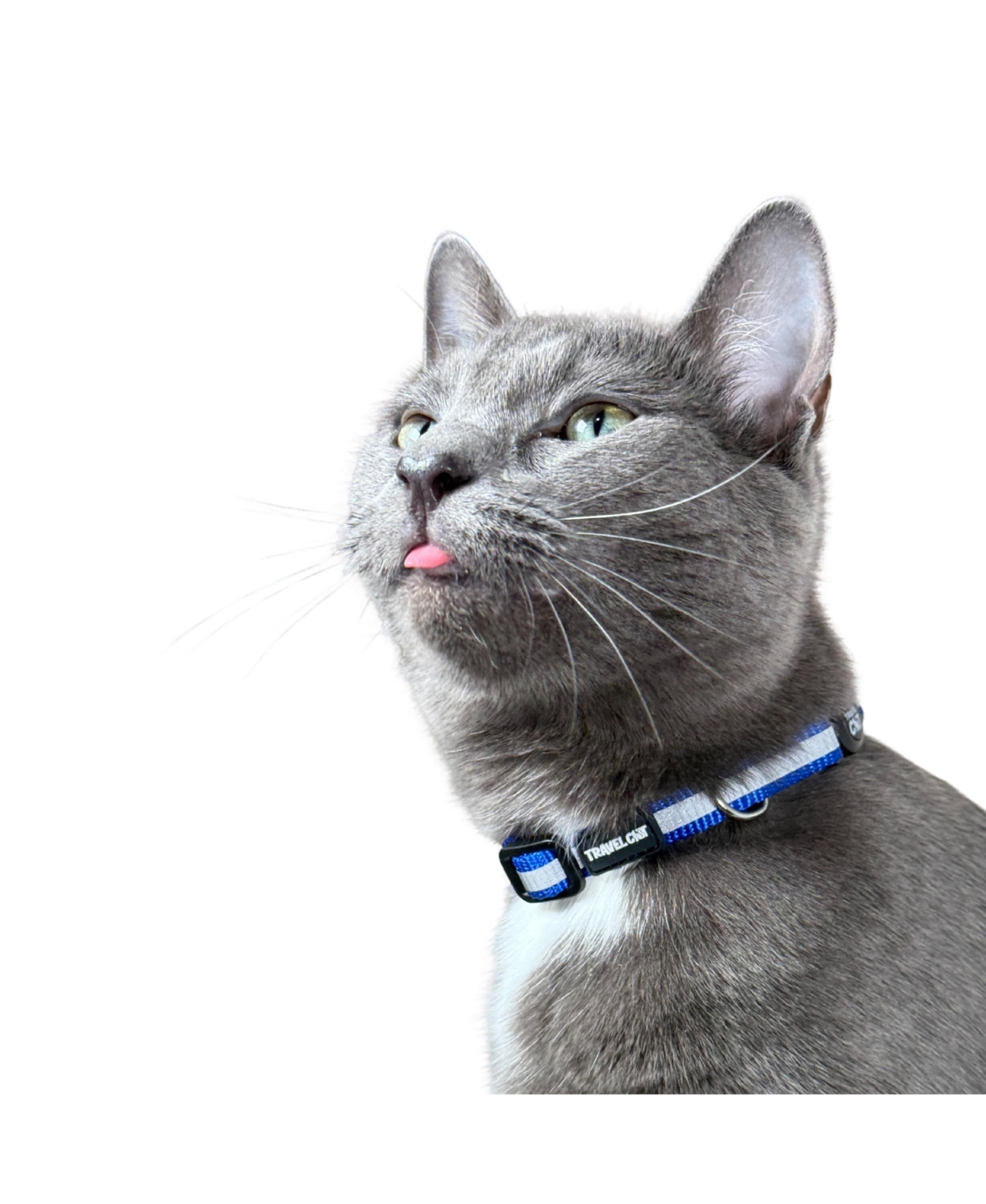 Travel Cat Breakaway Collar