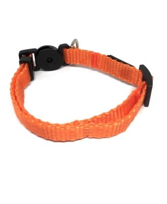 Breakaway Cat Collar