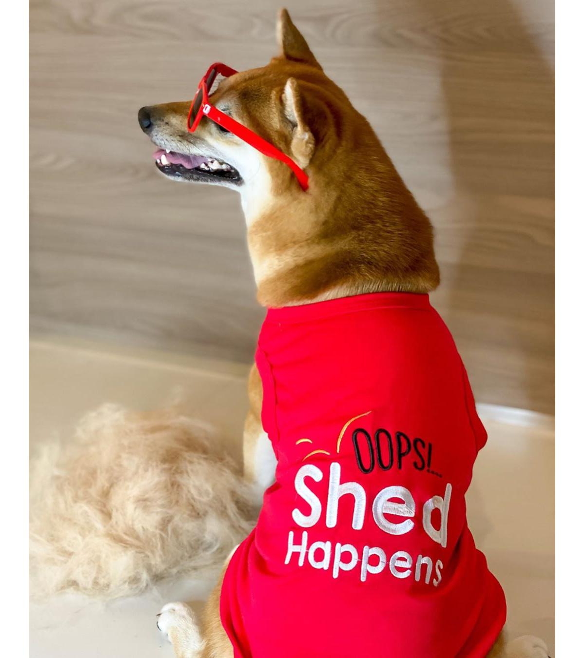 Parisian Pet Shed Happens