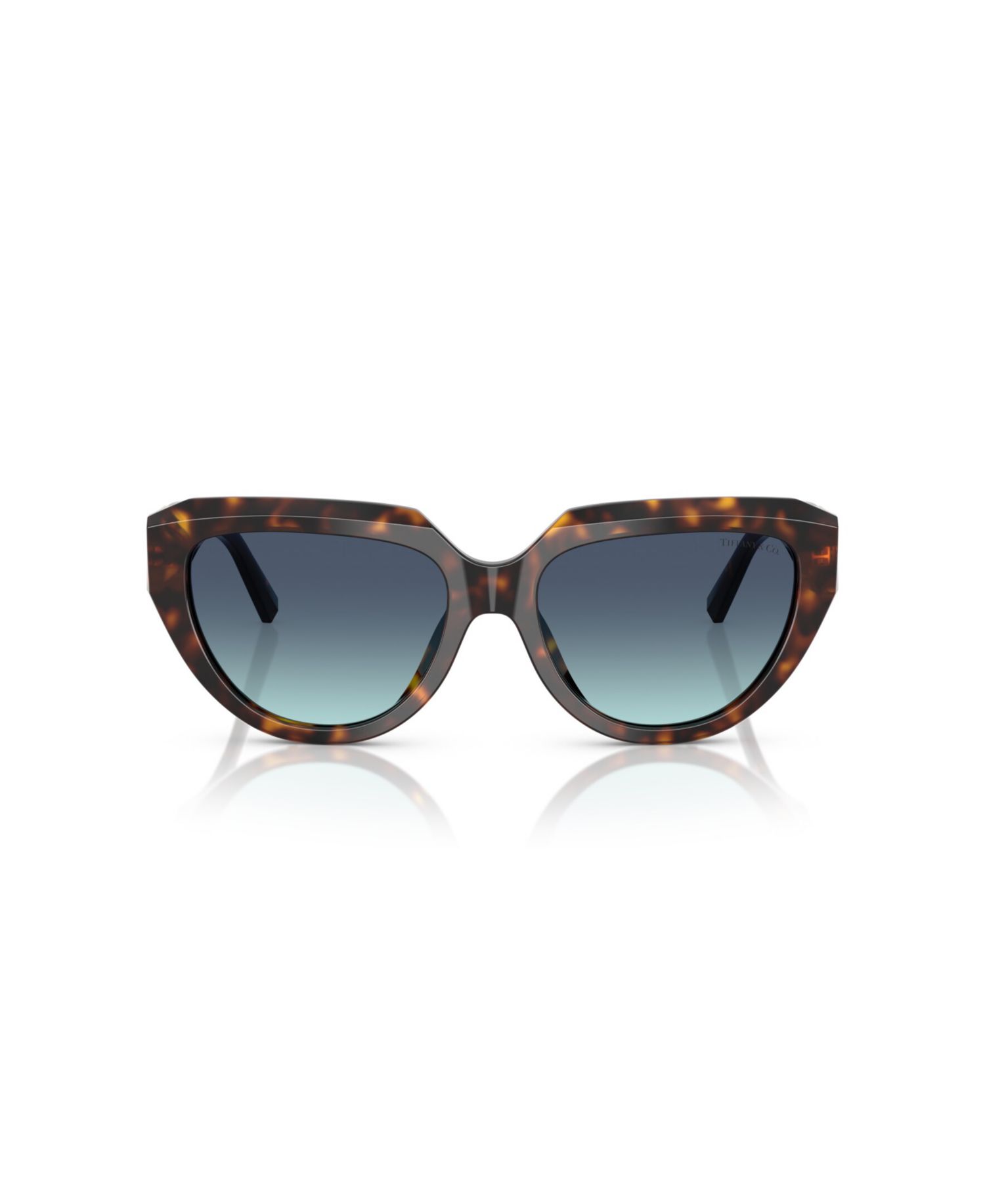 Women's Sunglasses, TF4238U