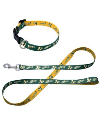 Athletics Pet Leash and Collar Set