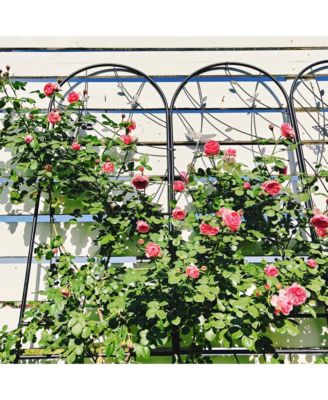 Metal Garden Trellis 86.7" x 19.7" Rustproof Trellis for Climbing Plants Outdoor Flower Support Dragonfly Deco