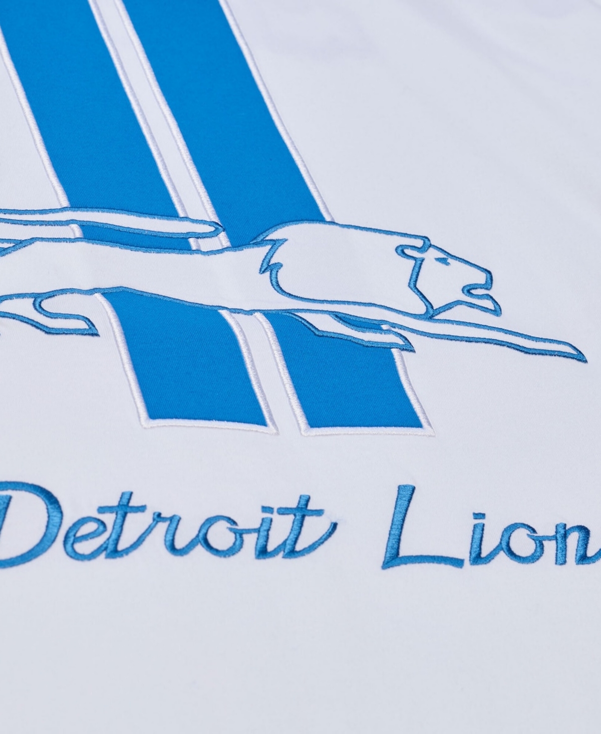 Mitchell & Ness Men's White Detroit Lions Arctic T-Shirt