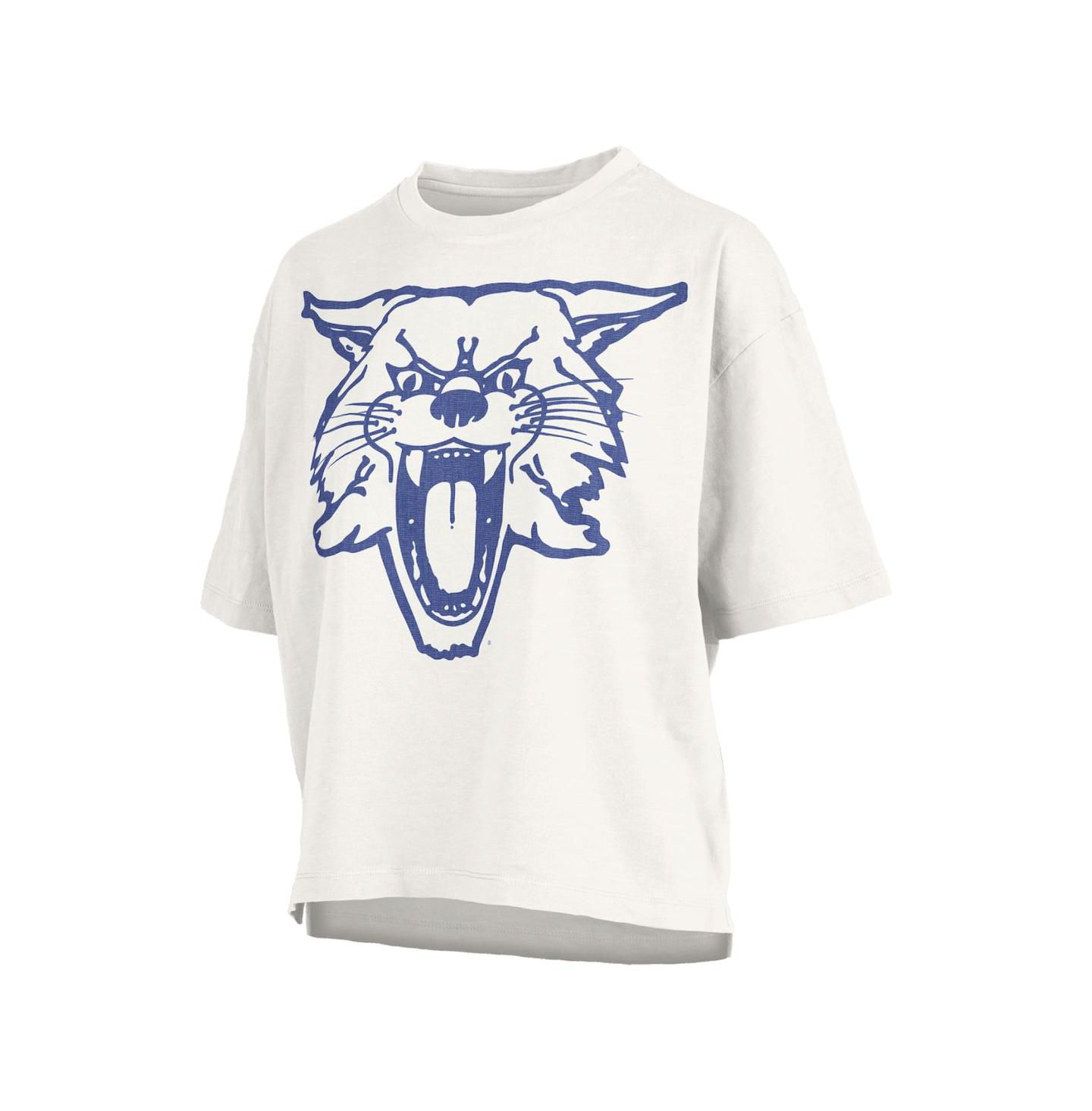 Женская футболка Pressbox White Kentucky Wildcats Big Canvas Puff Castillo Motley Slub — фото 3