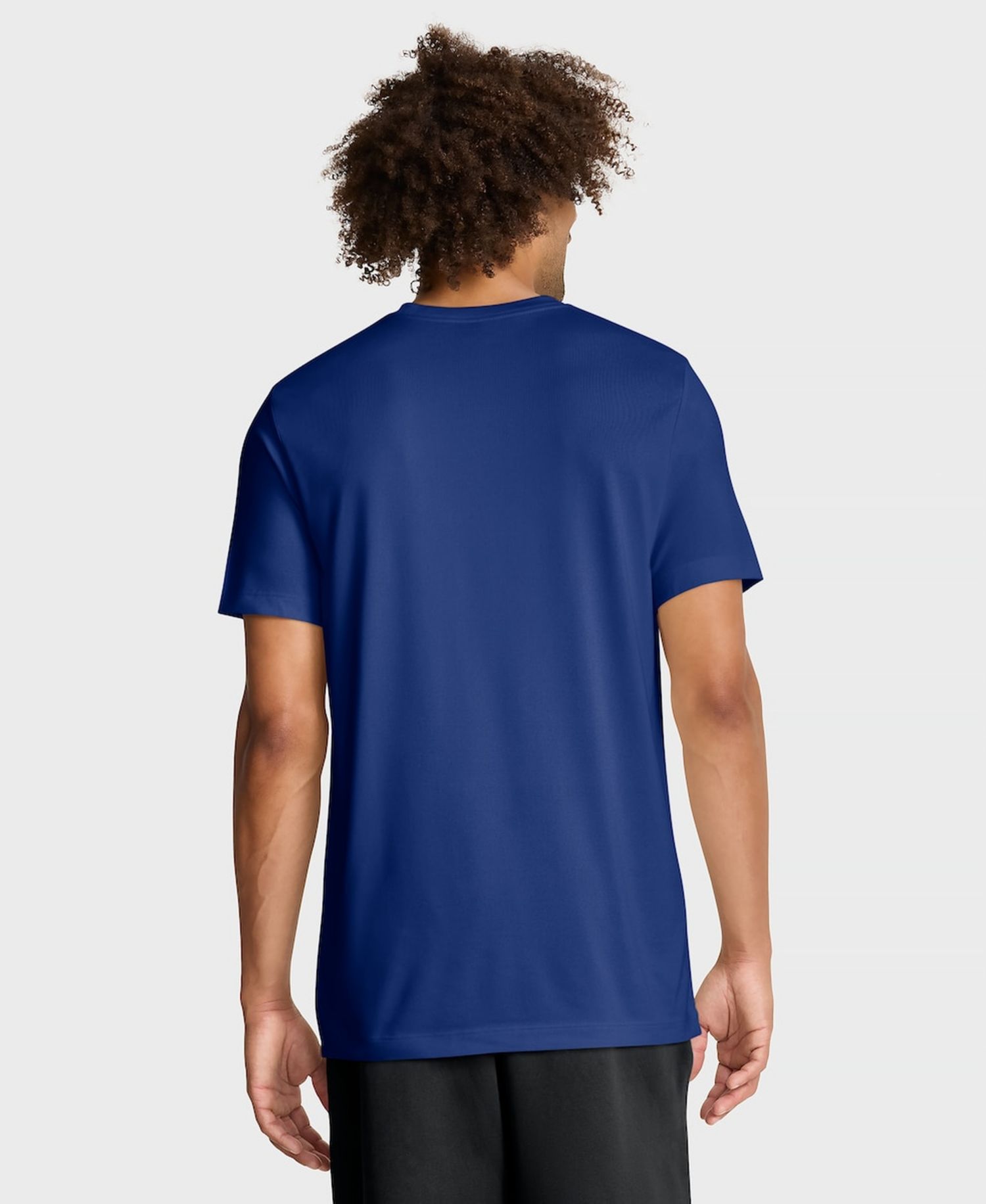Men's Royal Los Angeles Dodgers Knockout Team Legend Dri-FIT T-Shirt