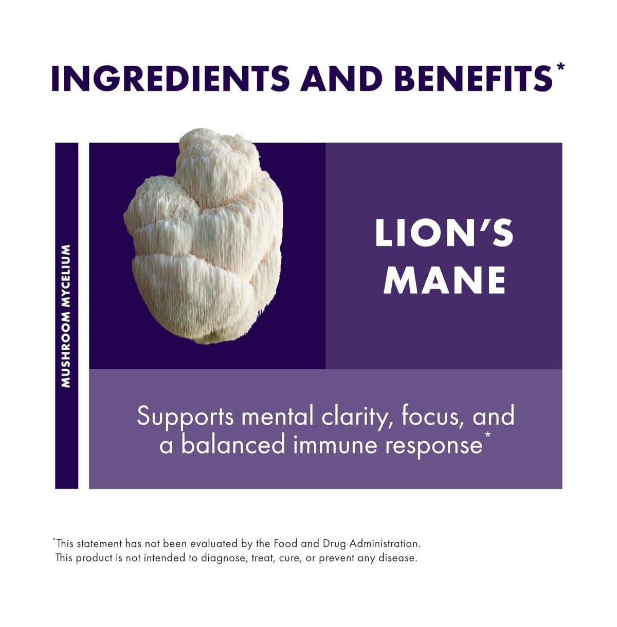 Host Defense Mushrooms Lion's Mane - Brain Health Support Supplement