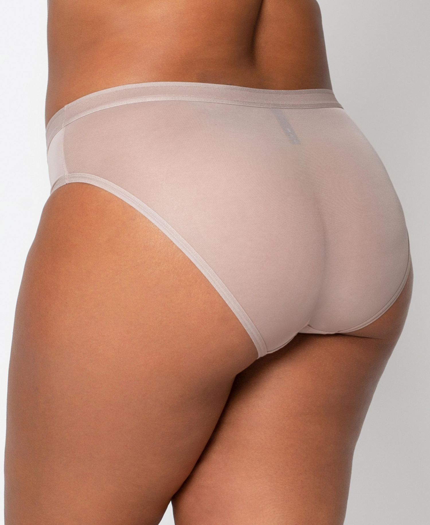 Women's Sheer Mesh High Cut Brief Panty