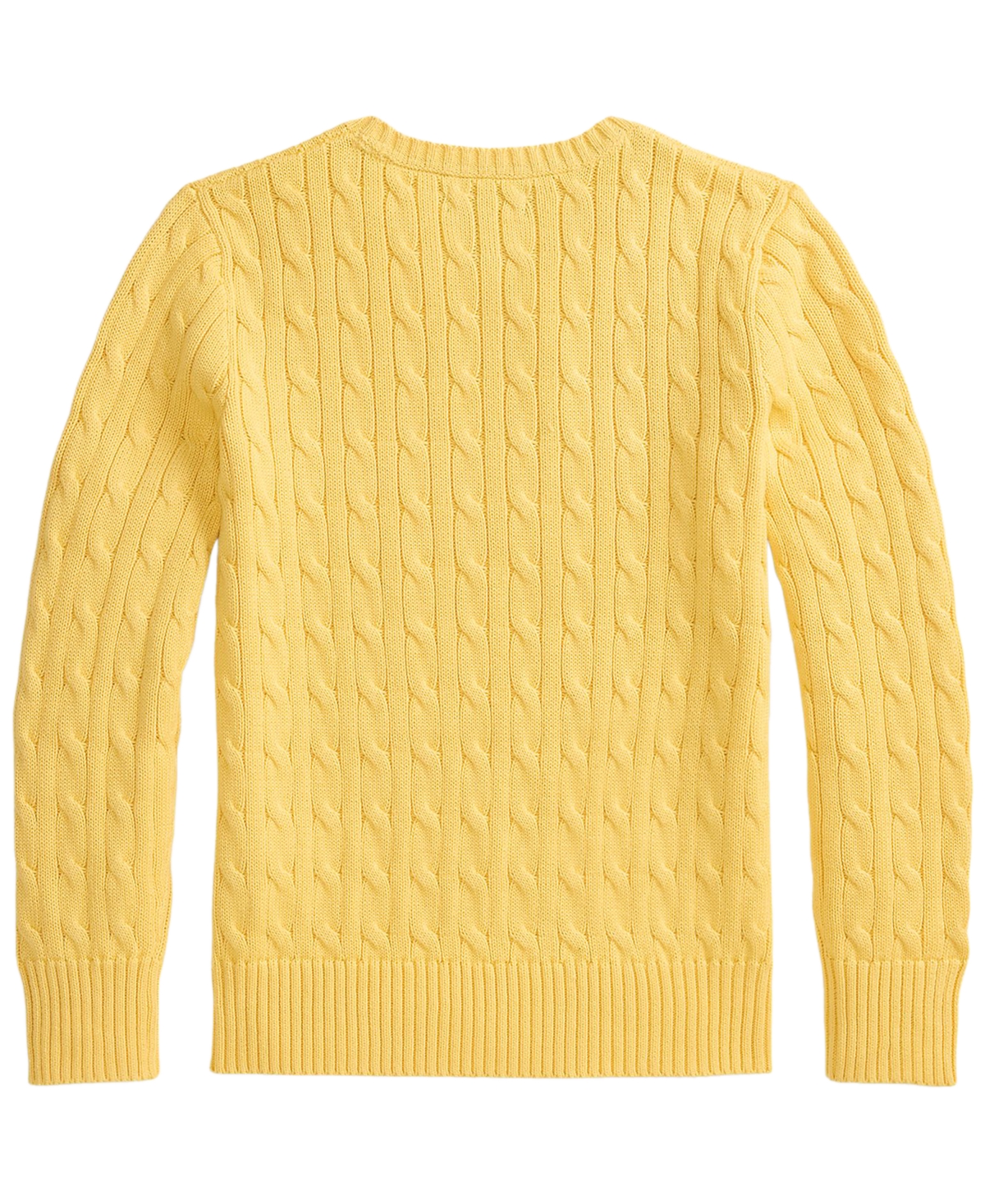 Polo Ralph Lauren Boys' 8-20 Long-Sleeve Sweater